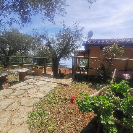 Le Casette Di Nino Marina di Camerota Dış mekan fotoğraf