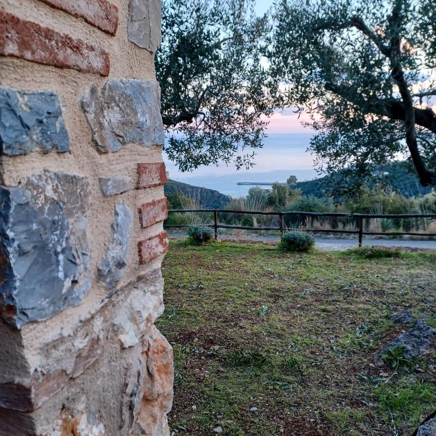 Le Casette Di Nino Marina di Camerota Dış mekan fotoğraf