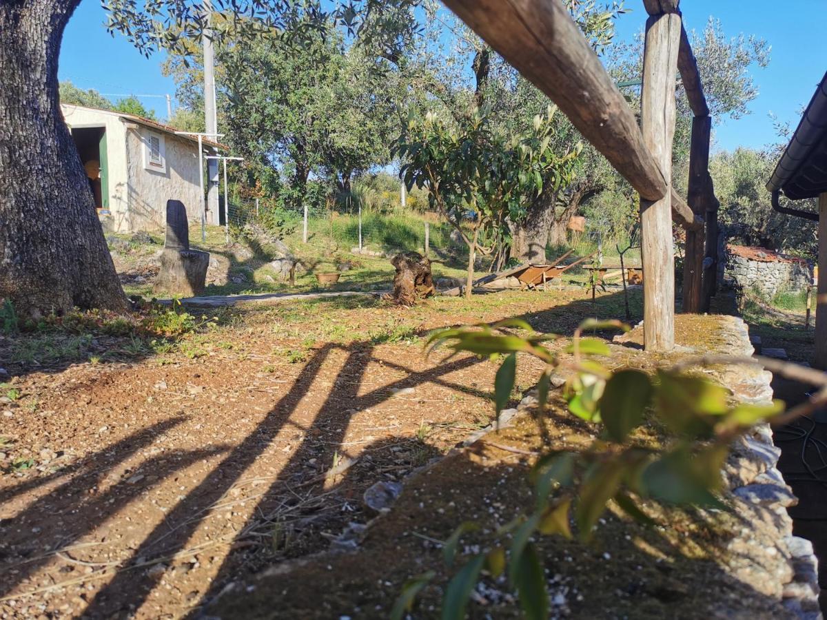 Le Casette Di Nino Marina di Camerota Dış mekan fotoğraf