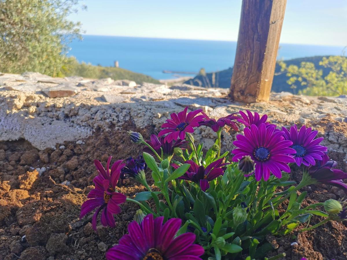 Le Casette Di Nino Marina di Camerota Dış mekan fotoğraf