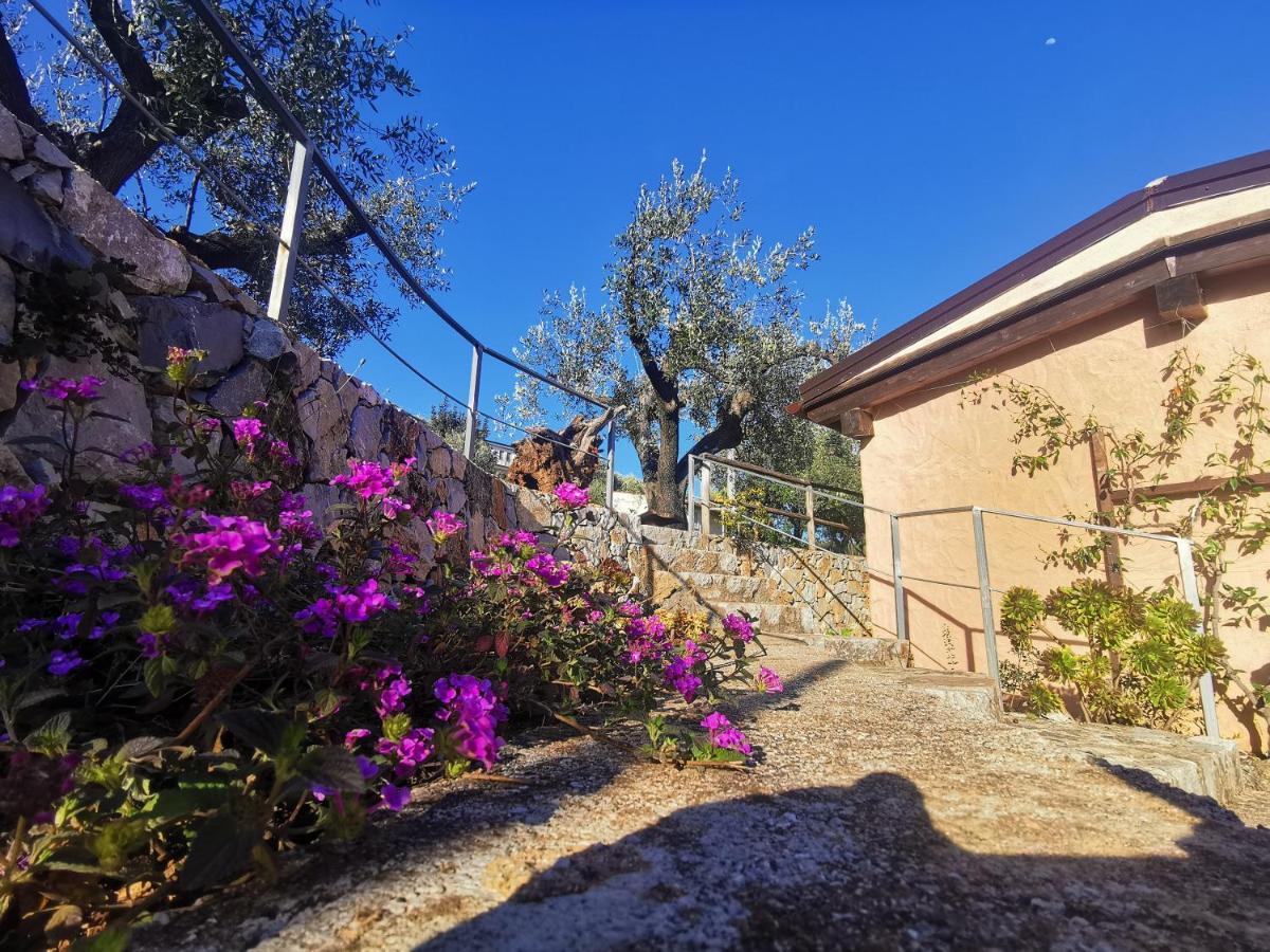 Le Casette Di Nino Marina di Camerota Dış mekan fotoğraf