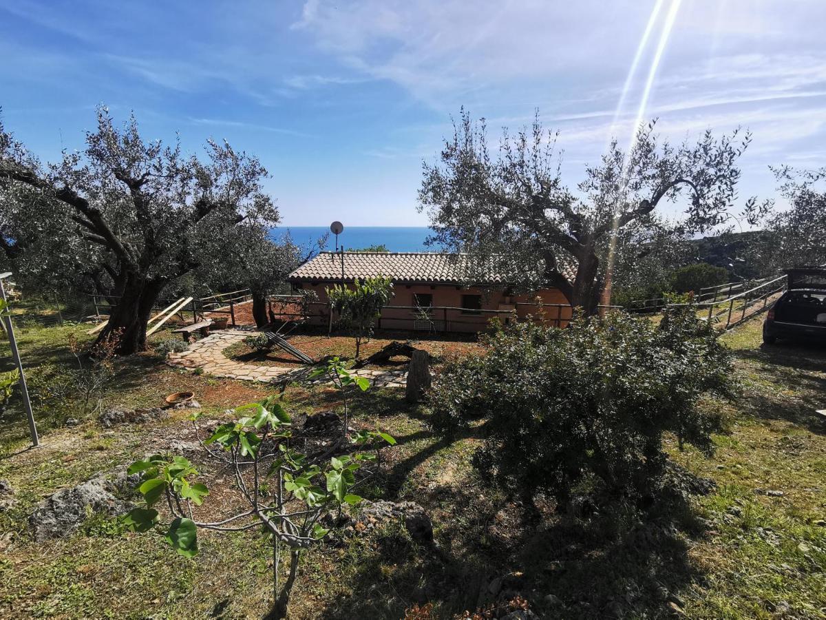 Le Casette Di Nino Marina di Camerota Dış mekan fotoğraf