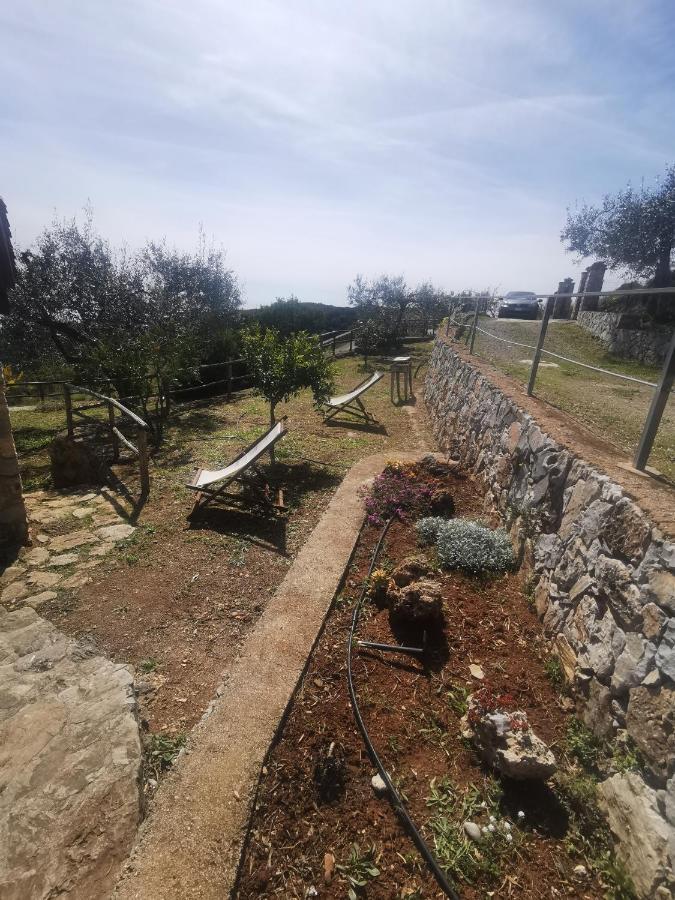 Le Casette Di Nino Marina di Camerota Dış mekan fotoğraf