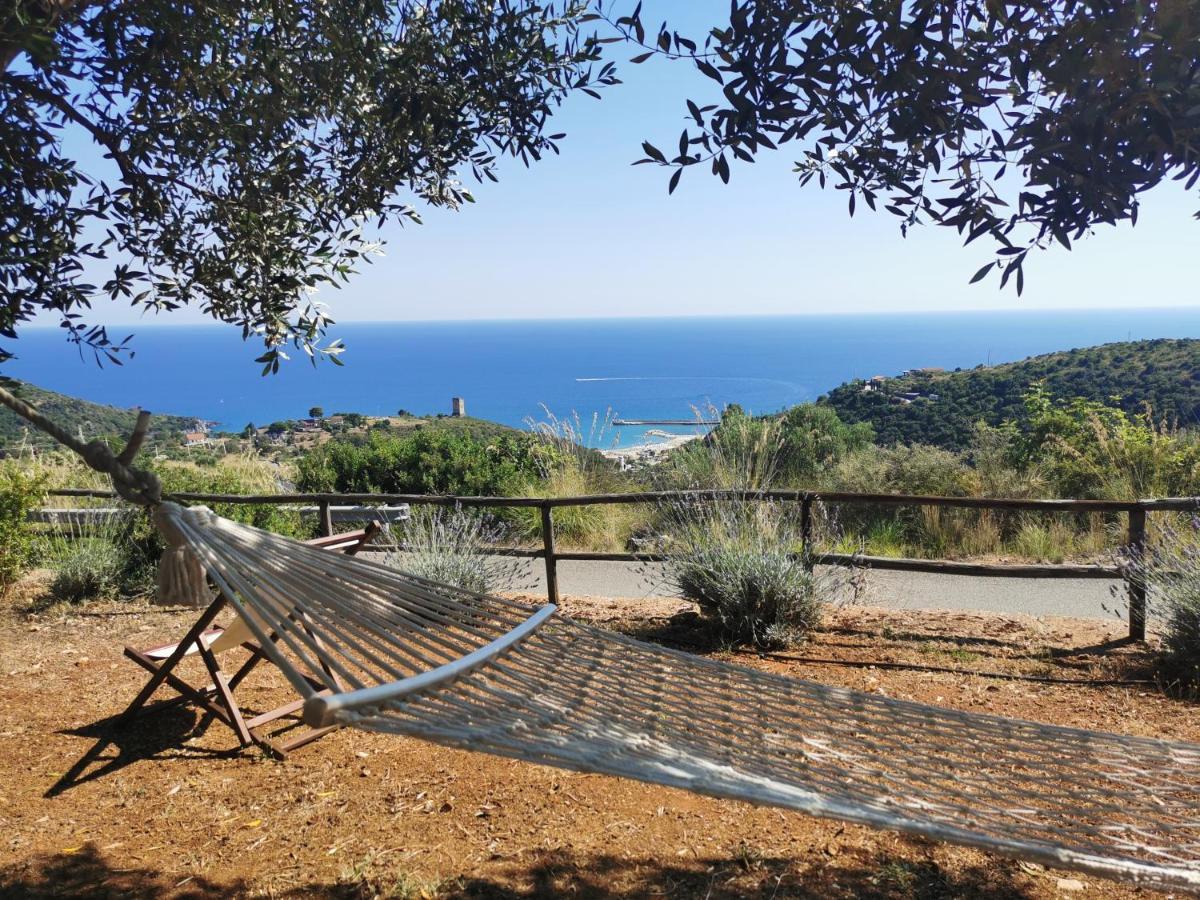 Le Casette Di Nino Marina di Camerota Dış mekan fotoğraf