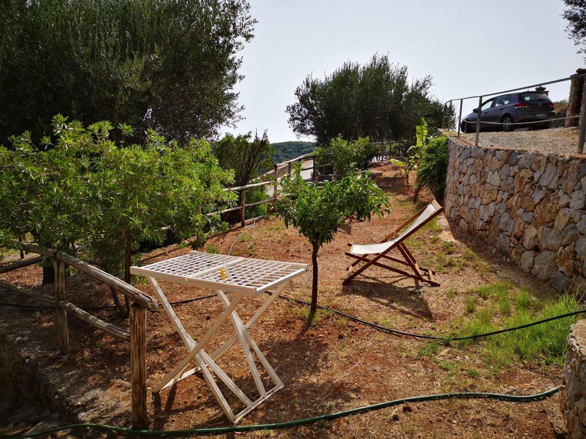 Le Casette Di Nino Marina di Camerota Dış mekan fotoğraf